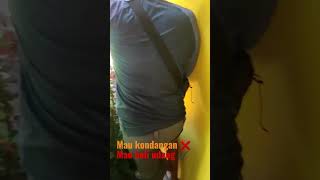 Download lagu dangdut kondangan....#dangdut #kondangan#udang#makassar #jawa mp3