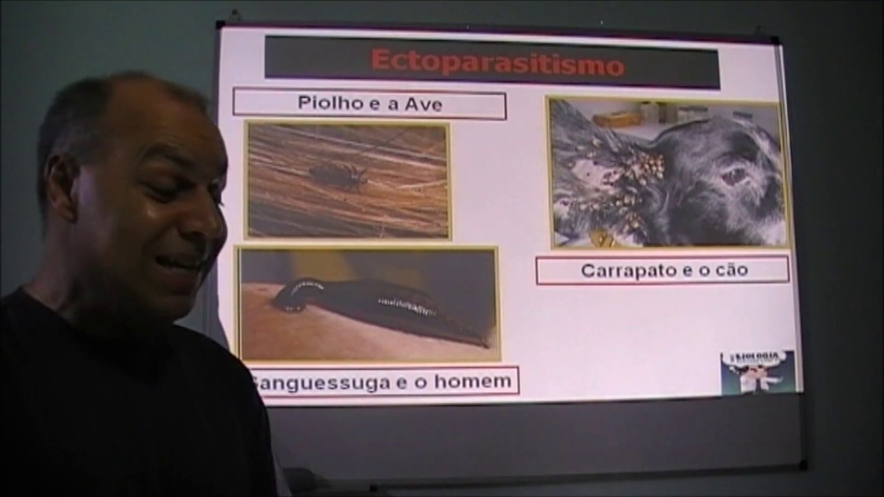 Rodovan  Relações ecológicas 4