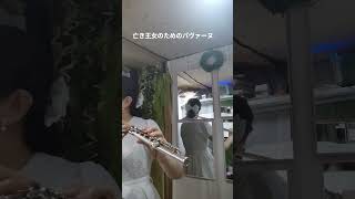 Download lagu 亡き王女のためのパヴァーヌ／M.Ravelラヴェル作曲 mp3