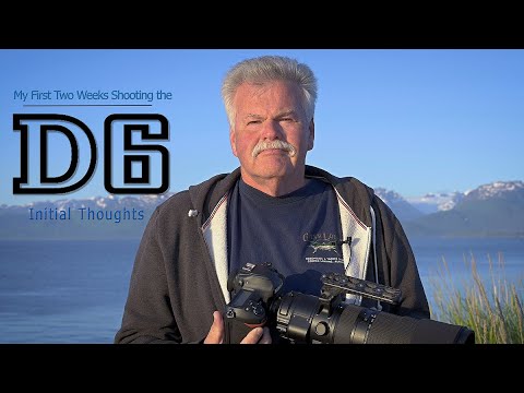 D6 My Initial Thoughts - The First Two Weeks