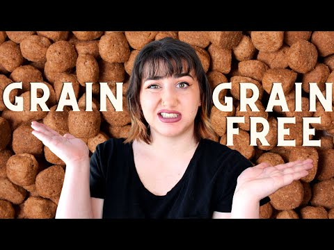 Pet Nutritionist Explains Grain Free vs Grain Inclusive Pet Foods | Which is Better?