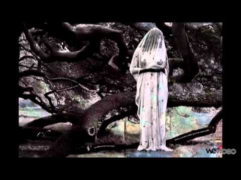 Salvaje de la Sierra La Loca