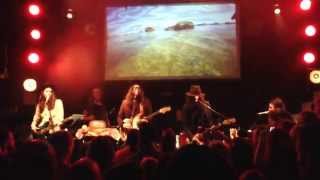 The Ghost Of A Sabre Tooth Tiger - Animals- Liverpool