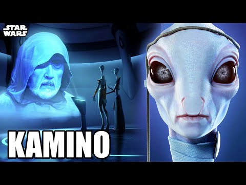 Why the Twisted Kaminoans Wanted ORDER 66 To Happen - Star Wars Explained