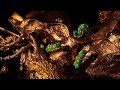 Animation Stop Motion PES Black Gold