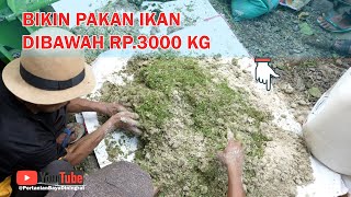 Download lagu Cara Membuat Pakan Ikan di Bawah Rp3.000/Kg, Hemat & Bergizi! | Bayu Diningrat Mbah Bams mp3 Download lagu Cara Membuat Pakan Ikan di Bawah Rp3.000/Kg, Hemat & Bergizi! | Bayu Diningrat Mbah Bams mp3