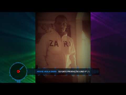 House Viola Baixa - Dj Gato produções