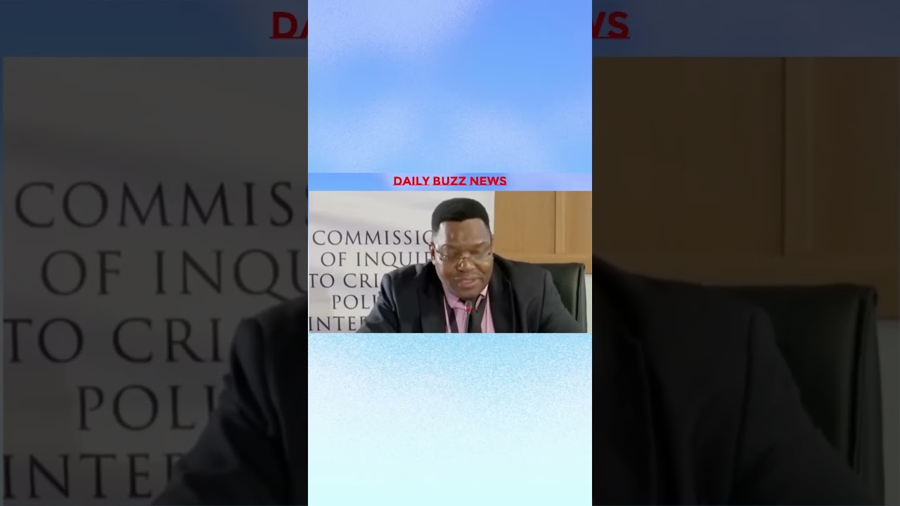 Part 5 Mchunu & Sibiya Accused of Shielding Matlala and Molefe#Masemola #Mchunu #Sibiya #CatMatlala