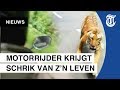 Angstaanjagend moment motorrijder gaat viral