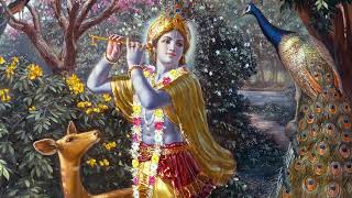 Download lagu Gopal Muraliya Wale Vinod Agarwal || Gopal Muraliya Wale Nandlal Muraliya Wale || गोपाल मुरलिया वाले mp3 Download lagu Gopal Muraliya Wale Vinod Agarwal || Gopal Muraliya Wale Nandlal Muraliya Wale || गोपाल मुरलिया वाले mp3