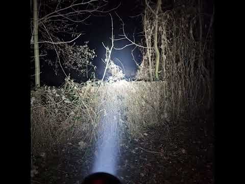 Noctigon DM1.12 xp-g2+ sbt90.2