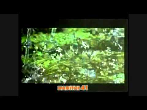 Besimi në Allahun / Hadithi 41