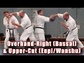 Practical Kata Bunkai Dropping And Rising Punches Bassai And Enpi Wanshu