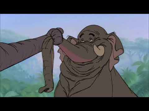 Animal Story 3 Part 2 - Andy Grown Up (aka Derek)