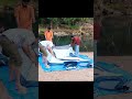 QUECHUA MH100 4 PERSON Camping Tent Camping Tent