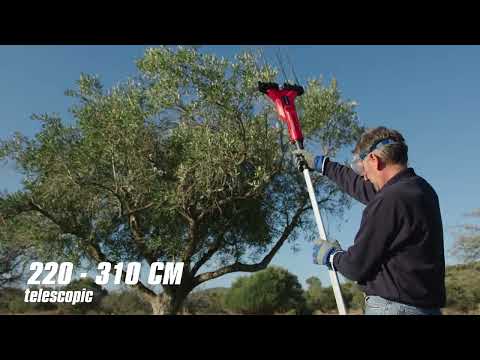 Einhell GE-FS 18/53 Li-Solo 220-310 cm 18V Olive Harvester