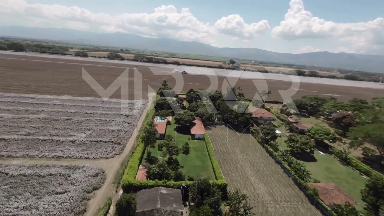 Cultivo de algodón en el Valle – FPV – P3