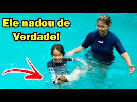 PRIMEIRA VEZ na PISCINA do nosso CACHORRO