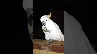 Download lagu Jagan get getan mp3 Download lagu Jagan get getan mp3