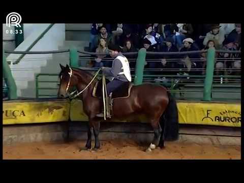 Aberta de Esteio (RS) – 7° lugar fêmeas – Pacífica da Garceira (Prova: Mangueira II)