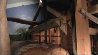 Kauri Muesum, Northland New Zealand