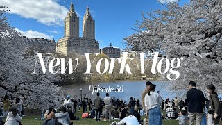 ニューヨーク生活VLOG | セントラルパークは桜が満開！🌸イタリアンレストランVia Carota、アメリカで初のディズニー in フロリダ、ビーチで泳ぐ｜日英音声付き｜海外生活