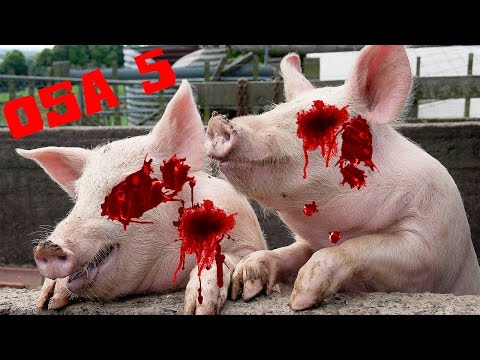 Pelataan Blood And Bacon | YLI 300 POSSUA KENTÄSSÄ!? #5