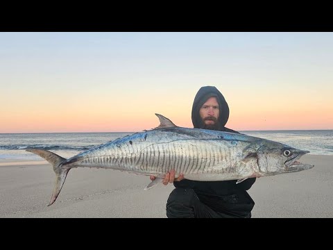 Using  A balloon To Catch Giant fish | Spanish Mackerel