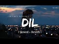 Dil - Lofi [Slowed + Reverb] | Raghav Chaitanya | #lofi |