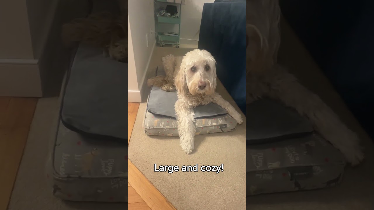 Dog Warming Mat