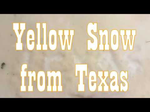 Yellow Snow from Texas in Minnesota?!? ⚠