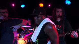 Shrub - Triple Play - Woodlands   12/14/13