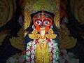 Tui Naa Ki Maa Dayamoyee Shorts Youtubeshorts Kalimaa Shyamamaa Shyamasangeet Shortsfeed Trend