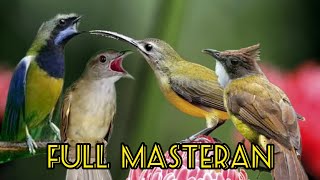 Download lagu masteran kombinasi tembakan kasar & jernih !! mp3 Download lagu masteran kombinasi tembakan kasar & jernih !! mp3