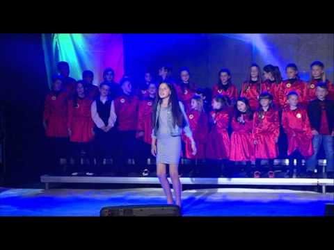 Albina Halili - Xixëllonjat