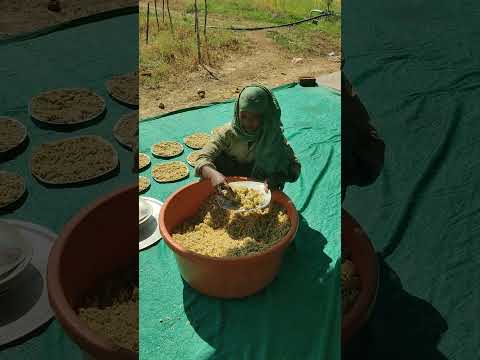 Golden 25 kg organic khapli wheat
