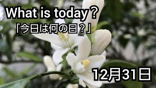 【What is today?】今日は何の日?(1231)|YouTube掲示板《ヒントストック》