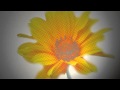 Manic Bloom - Tonight's When I Say Goodbye ...