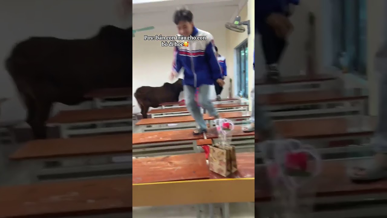 Học phí tới 🤣🤣🤣 #shorts #hocsinh