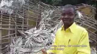 preview picture of video 'A collapsed primary school in Liberia'