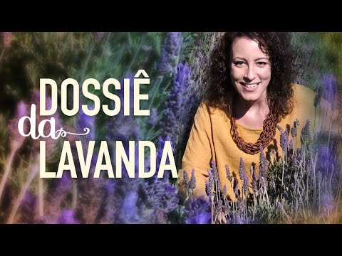 Sombra - Lavanda