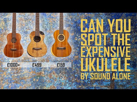 Can you spot the expensive uke by sound alone?