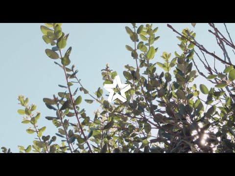 7 Uralla Ave Padstow - For Sale