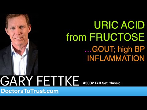 GARY FETTKE | HARNSÄURE aus Fruktose …Gicht, hoher Blutdruck und Entzündungen