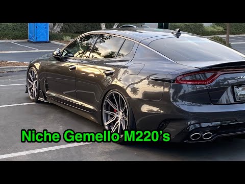 Niche Gemello M220
