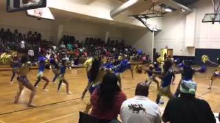 Wild Bulls Dance Group