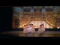 Ballet Swan Lake