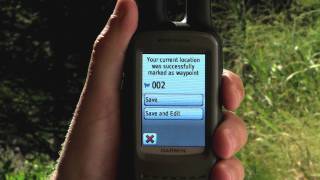 Crystal River Olive Wooly Bug Bead Head Fly - Premium Flies/Hand Tied