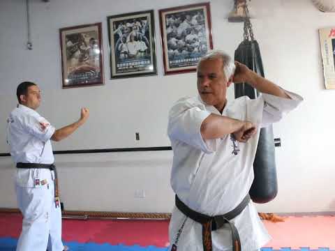 COMO EXECUTAR E PRATICAR O SEIKEN CHUDAN SOTO UKE