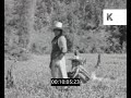 1980s 1990s Thailand Rural Life Home Movies Super 8